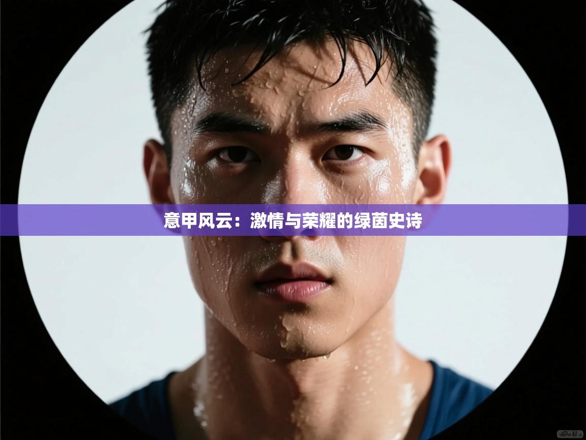 意甲风云：激情与荣耀的绿茵史诗  第2张